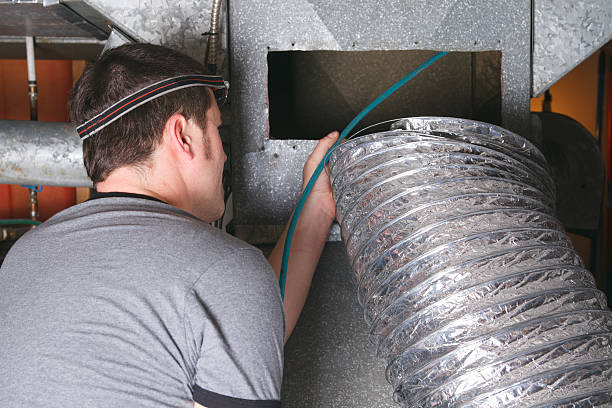 Best Air Duct Mold Removal  in USA